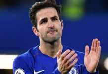 Chelsea Identify Cesc Fabregas Replacement Chelsea Identify Cesc Fabregas Replacement